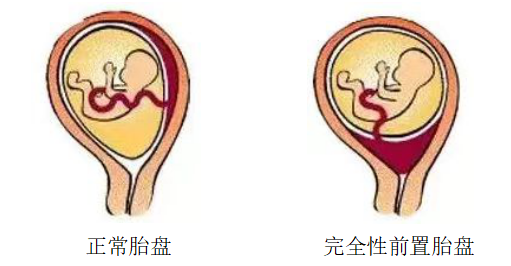 1755594796365179.png 图3.png